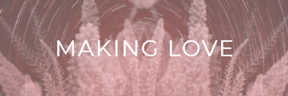 MAKING LOVE