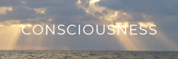 CONSCIOUSNESS